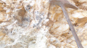 Quartz vein mineralized with Lead